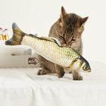 2 Pcs Catnip Fish Toy