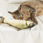 2 Pcs Catnip Fish Toy