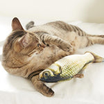 2 Pcs Catnip Fish Toy