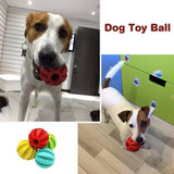 Dog Tooth Cleaning Ball